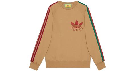 adidas gucci sweatshirt|Gucci Adidas hard sided.